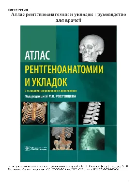 Виды дерматита (фото) - атопический, контактный, себорейный и другие виды  дерматита