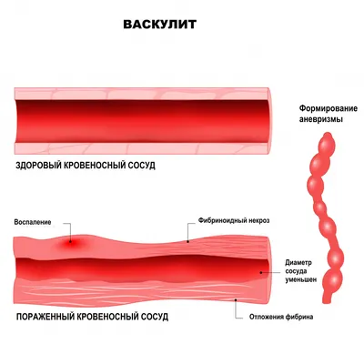 Доктор Александр Арбузов - Чудесный кокос исцеляющих знаний - 1999 | PDF