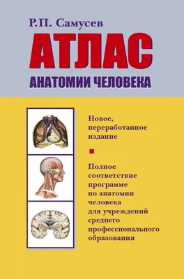 Книга: \"Атлас анатомии человека. Подробное иллюстрированное руководство\" -  Элис Робертс. Купить книгу, читать рецензии | ISBN 978-5-04-164296-9 |  Лабиринт