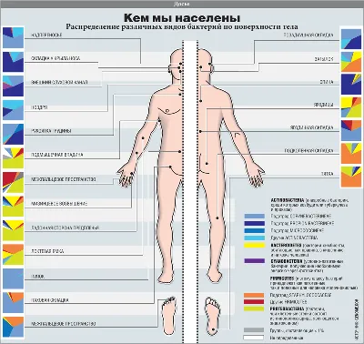 Гиперкератоз кожи: что это такое, причины, симптомы, лечение | Filllin  Daily | Дзен