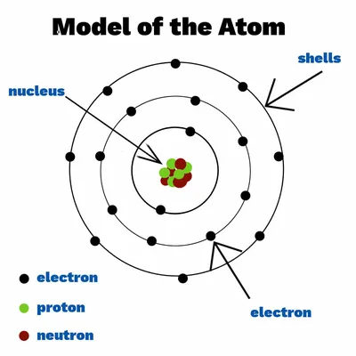 Bohr Atomic Model Nitrogen Atom Vector Illustration Science Stock Vector by  ©panggabean 448710346