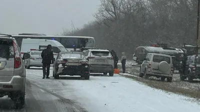 На Кубани в массовом ДТП с коровой погибли два человека и повреждены три  автомобиля