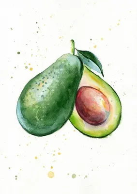 Авокадо в скетчбук рисунок для срисовки - 92 фото