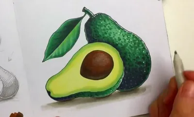 Как Нарисовать Авокадо /Рисунки для Срисовки | Katy Laks | Дзен