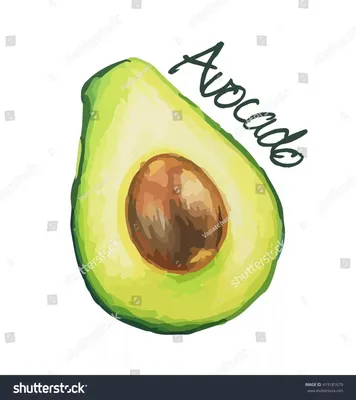 Как нарисовать авокадо: 60 рисунков