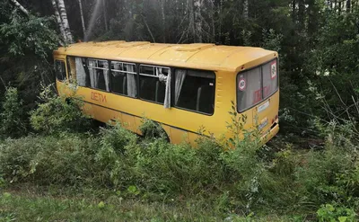 школьный автобус и счастливые дети. дети в желтом классическом школьном  автобусе. вид сбоку. американское образование. обратно в ш Иллюстрация  вектора - иллюстрации насчитывающей дошкольные, мужчина: 250766049