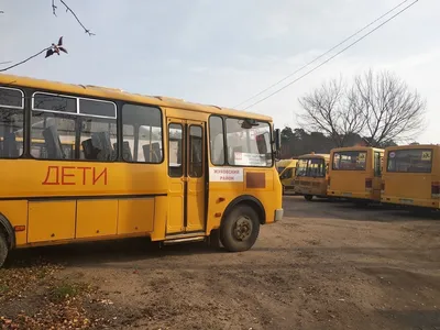 Заказ автобуса для детей. Аренда автобуса для школьников – OrderBus