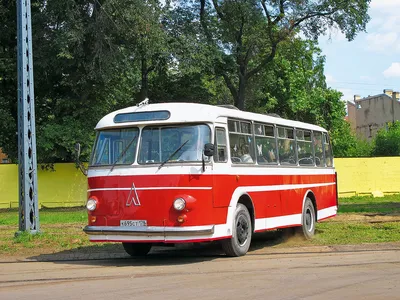 School bus. Школьный автобус. PNG. | Школьный автобус, Автобус, Школа