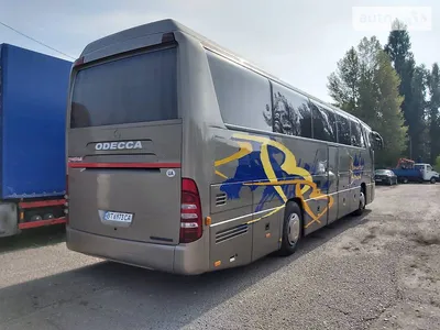 Зарплата 50 тыс сомов. Мэрия Бишкека продолжает поиск водителей автобусов -  21.08.2023, Sputnik Кыргызстан