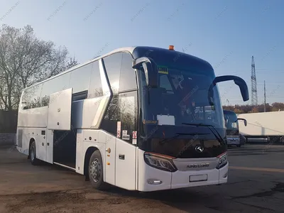 Еще 58 новых автобусов прибыли в Бишкек (фото)