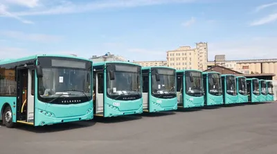 Брошенные советские автобусы (24 фото)