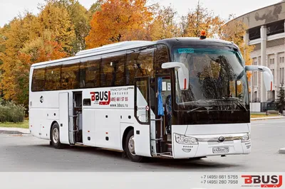 С понедельника в Петербурге девять автобусов в разных районах изменят  маршрут