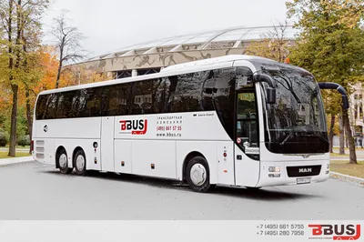 Туристический автобус Higer KLQ 6128LQ 55 мест, цена в Набережных Челнах от  компании Специальные машины