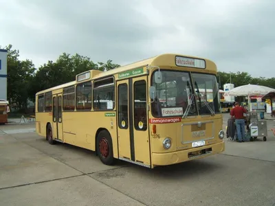 Автобус 35-70 мест — Центр заказа транспорта