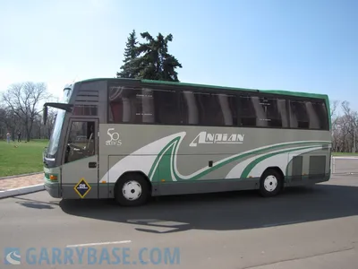 Пассажирские перевозки автобус Ман на 35 мест | Garrybase.com