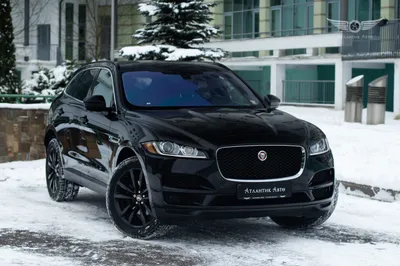 Пробуем длиннобазный Jaguar XJ в чёрном, белом и ещё кое-что — ДРАЙВ