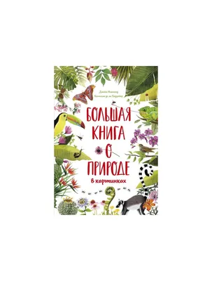 Энас-Книга Азбука В картинках, Бодрова А.В, Досуг Малыша - купить книги по  обучению и развитию детей в интернет-магазинах, цены в Москве на Мегамаркет  |