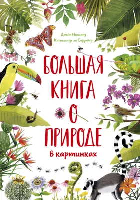 Азбука северных растений (альтернативная обложка)» за 990 ₽ – купить за 990  ₽ в интернет-магазине «Книжки с Картинками»