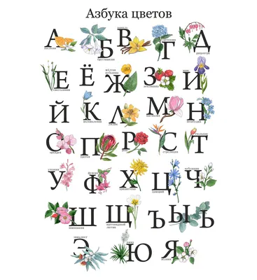 Хен Рейнгардт. Азбука цветов — купить в Москве. Состояние: Б/у. Сад,  огород, цветы на интернет-аукционе Au.ru