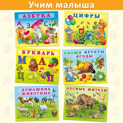 алфавит фруктов и овощей для образовательных целей идеально подходит для  обучения детей б означает брокколи вектор PNG , язык, ребенок, знак PNG  картинки и пнг рисунок для бесплатной загрузки