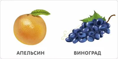 плакат для детского сада Фрукты, ягоды, раздаточный материал