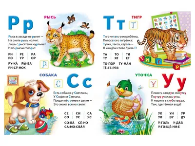 Animal ABC: Playful animals teach A to Z-Азбука животных: игривые животные  учат от А до Я купить по низким ценам в интернет-магазине Uzum (303575)
