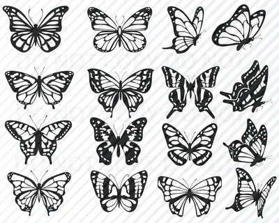 Бабочка векторный рисунок - 62 фото