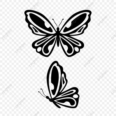 Векторное Изображение Бабочки — стоковая векторная графика и другие  изображения на тему Абстрактный - Абстрактный, Бабочка, Белый фон - iStock