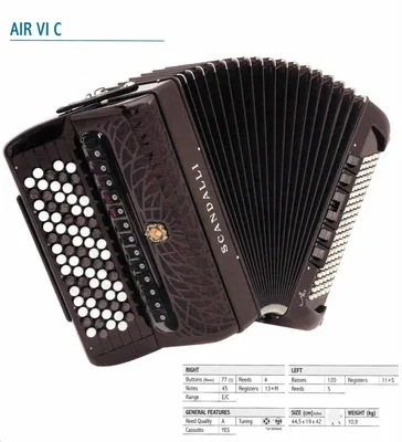 17 Keys Buttons Children'S Accordion 8 Bass Acordeon Music Musical  Instrument Drawer Gaita Ammoon Melodica Piano Keyboard Belts