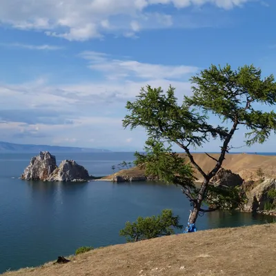 картина зимний байкал остров огой мыс дракон, лед, трещины, картина маслом  байкал зимой