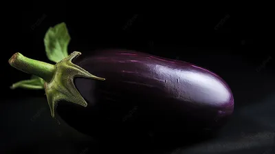 Баклажан овощей Aubergine изолировать фиолетовый сквош Иллюстрация вектора  - иллюстрации насчитывающей цвет, заедк: 193910285