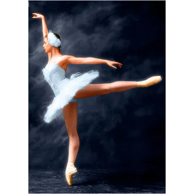 балерина в темноте позирует перед элегантным окном, балерина балерина, Hd  фотография фото, окно фон картинки и Фото для бесплатной загрузки
