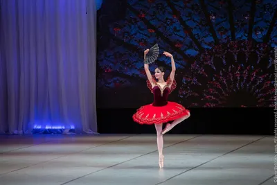 В Воронежском театре пройдет вечер памяти балерины Набили Валитовой