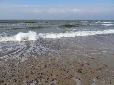 Балтийское море | Балтийское море, Побережье, Косы