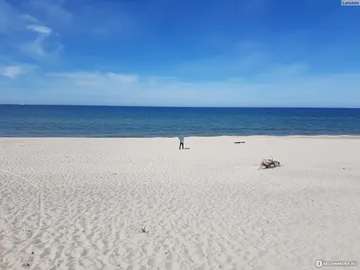 В Роспотребнадзоре объяснили, почему позеленела вода в Балтийском море -  РИА Новости, 22.07.2022