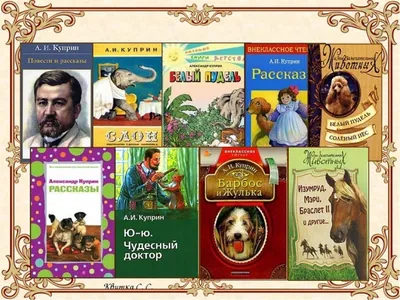 Белый пудель. Рассказы (Куприн А.) Издательство Омега - купить книгу с  доставкой в интернет-магазине издательства «Омега» ISBN: 978-5-465-03356-5