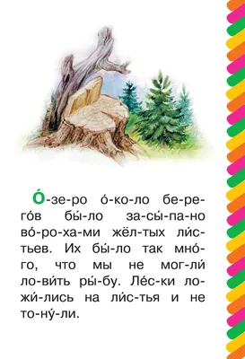 БАРСУЧИЙ НОС. СКАЗКИ И РАССКАЗЫ Паустовский Константин Russian kids book |  eBay