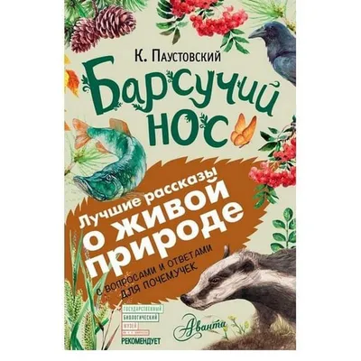 Иллюстрация 4 из 20 для Барсучий нос - Константин Паустовский | Лабиринт -  книги. Источник: Лабиринт