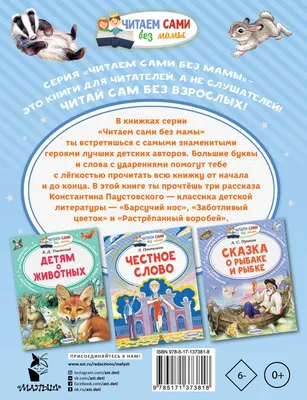 Барсучий нос (Константин Паустовский) - купить книгу с доставкой в  интернет-магазине «Читай-город». ISBN: 978-5-17-137381-8