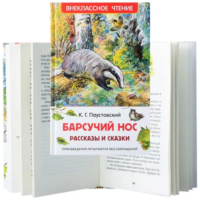 Книга Барсучий нос - купить детской художественной литературы в  интернет-магазинах, цены на Мегамаркет | 30051