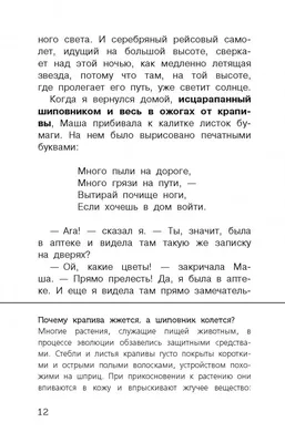 Паустовский К. Барсучий нос. Рассказы и сказки 156399 Росмэн - купить оптом  от 112,81 рублей | Урал Тойз