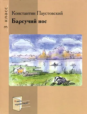 Рисунок карандашом барсучий нос - 50 фото