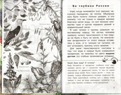 Константин Паустовский - человек, проживший жизнь по совести | Наталья  Почуева \"Летящая стрекоза\" | Дзен