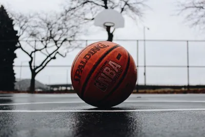 баскетбол авы｜Búsqueda de TikTok