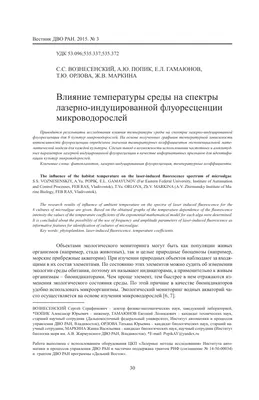 Время Дарькина: как Приморье дошло от «Нам здесь жить!» до «самого  криминального региона» | DEITA.RU | Дзен