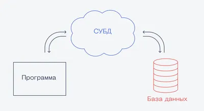 База данных (БД): что такое, виды