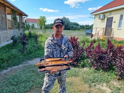 Дом Солнца - Затон, Северо-западная часть острова \"Бакланий\" на развилке  рек М. и Б.Бакланья: цены 2023, фото и отзывы