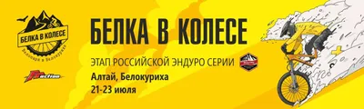 Тренажер «Белка в колесе» СО-3.3.25.00 купить в Набережных Челнах