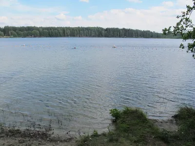 Озеро Белое в Шатурском районе: санаторий, цены 2024, сайт, погода, отзывы  – Туристер.Ру