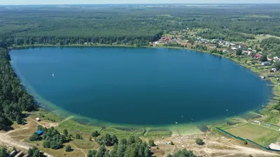 Беленькое озеро шатура (77 фото) - 77 фото